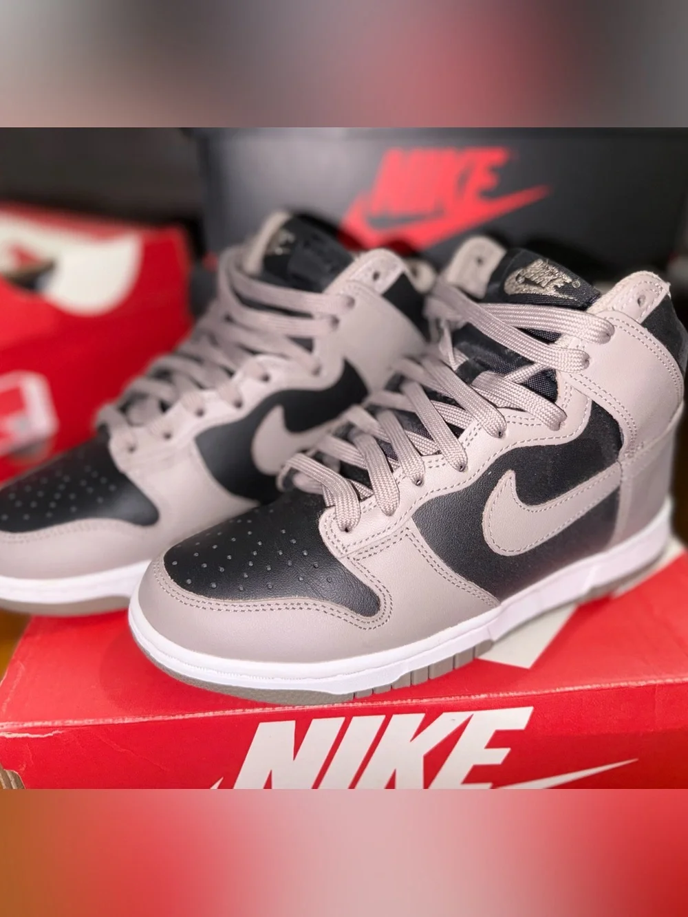 Nike Dunk High 